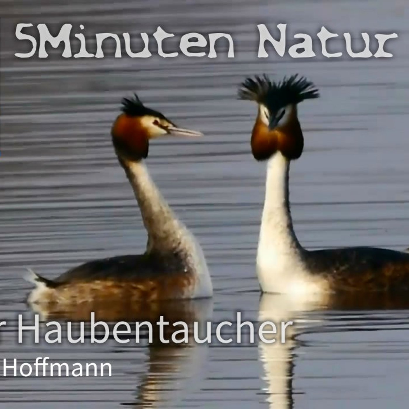 Vorschaubild