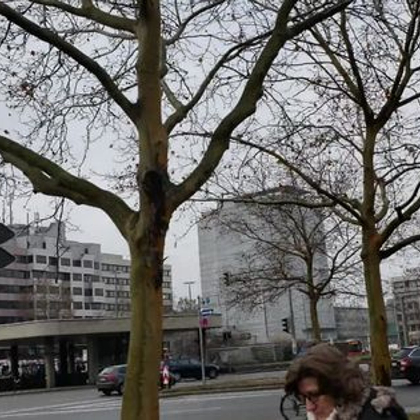 Vorschaubild