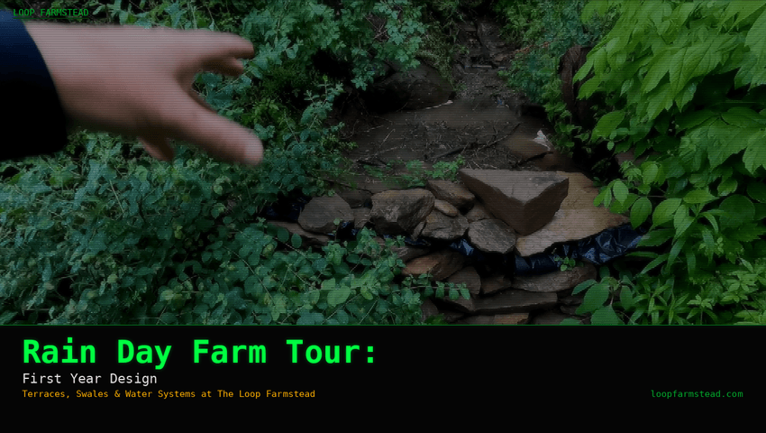 Rain Day Farm Tour: Terraces, Swales & Water Systems